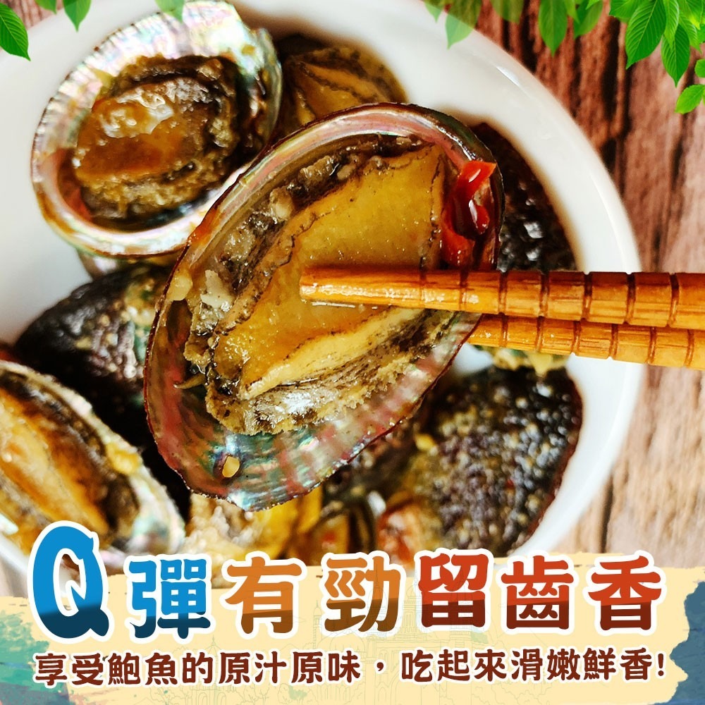 【極海鮮】帶殼熟凍鮑魚，包冰40%，母親節送禮享用大餐好選擇，14P-22P-細節圖2