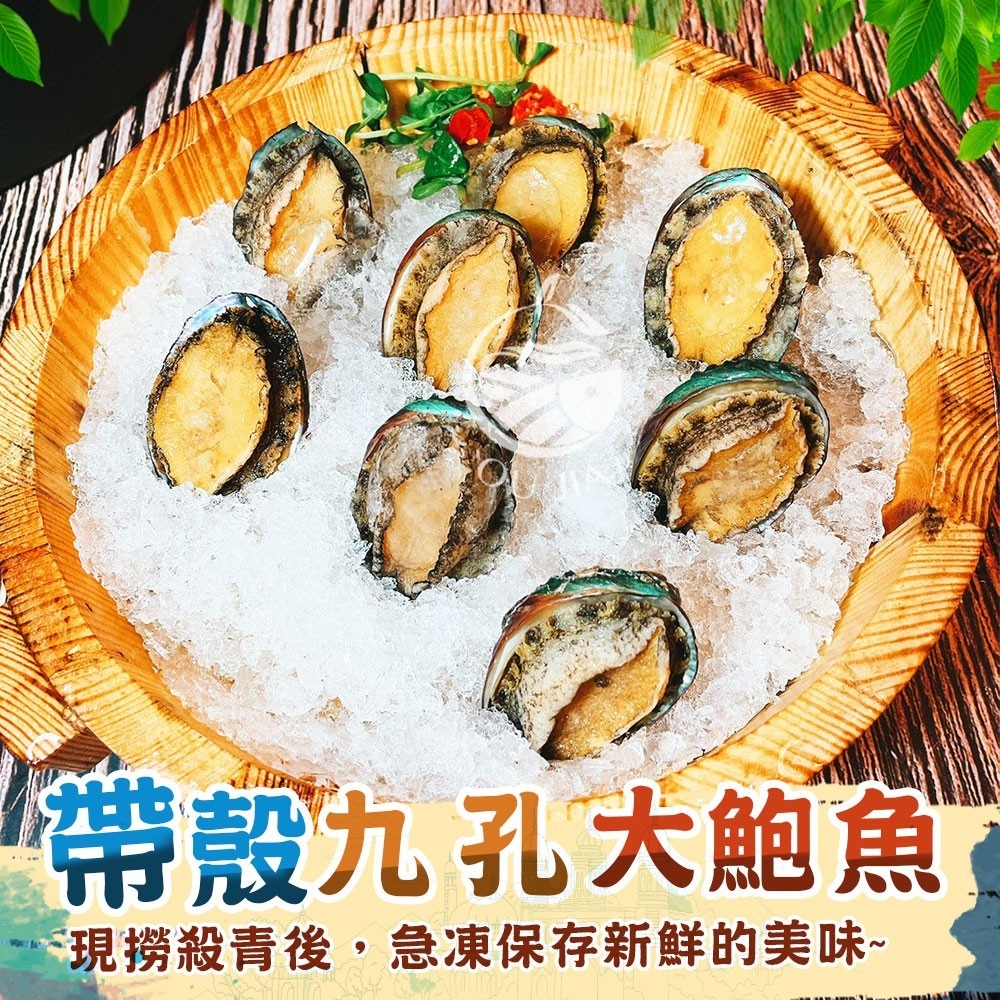 【極海鮮】帶殼熟凍鮑魚，包冰40%，母親節送禮享用大餐好選擇，14P-22P-細節圖3