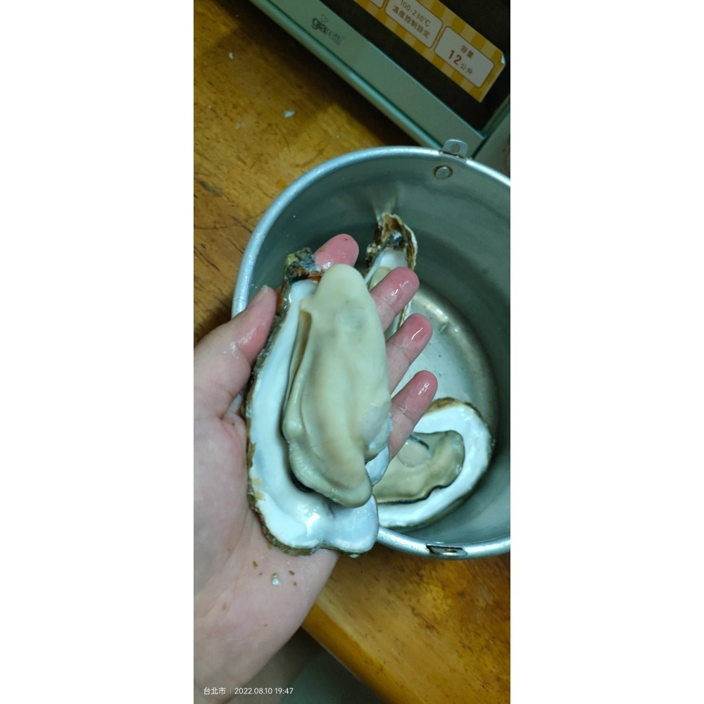 【極海鮮八號鋪】馬祖活體帶殼生蠔 -1公斤為單位-冷藏宅配-活體就是有無法形容的鮮甜-細節圖3