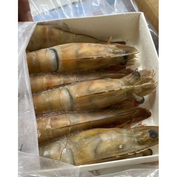 【極海鮮八號鋪】海大蝦(琥珀蝦)🦐5尾/12尾/500g/盒🦐高貴料理🦐富含蛋白質，肉質紮實而鮮美，口感Q彈-細節圖5