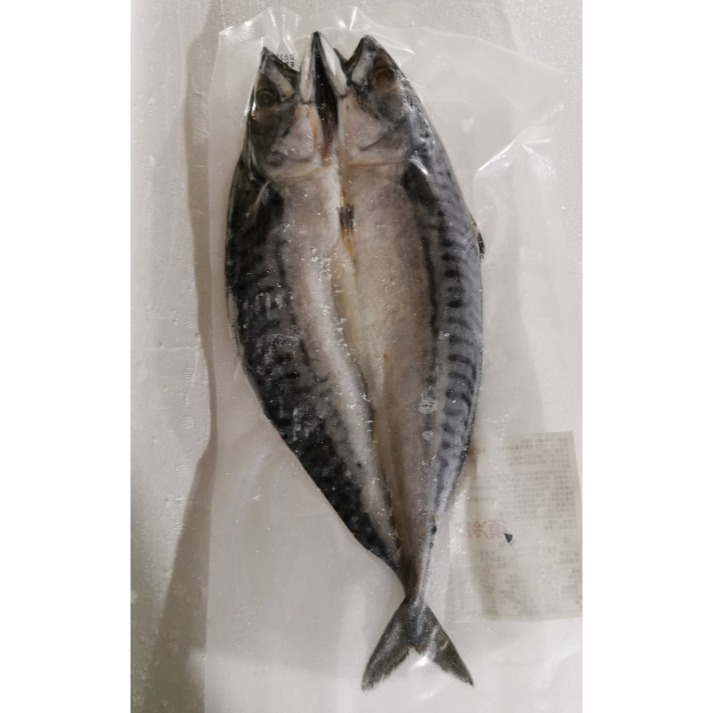 【極海鮮八號鋪】挪威鯖魚一夜干，250-400g±10%/隻. 👍肉質細膩，魚脂飽滿 ，烤或香煎更能吃出迷人鹹香-細節圖4