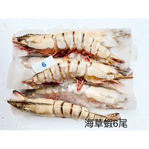 【極海鮮八號鋪】大海草蝦－6尾肥豬蝦/盒，380g/盒，肉質緊緻鮮甜，且富有彈性，超大支超滿足，送禮，年菜-細節圖3