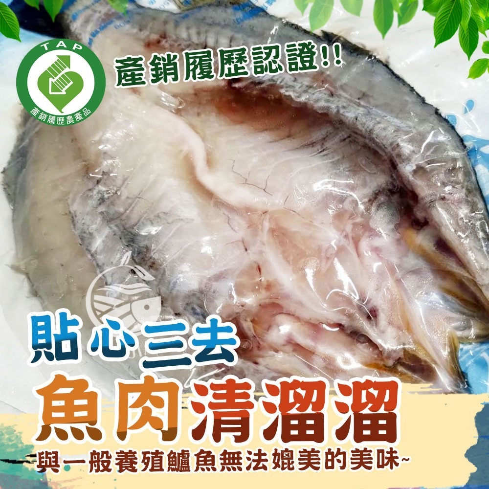 【極海鮮八號鋪】產銷履歷認證，海水野放鱸魚蝴蝶切-400~1000g±10%/片，-細節圖3