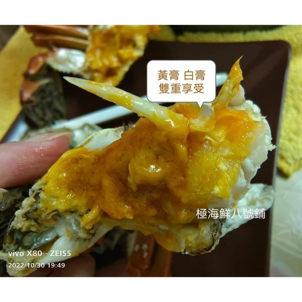 【極海鮮八號鋪】大閘蟹12/05到貨, 大陸江蘇正港貨母蟹, 爆膏爆蛋規格等級,蟹肉厚鮮甜，蟹黃蟹膏濃郁-細節圖3