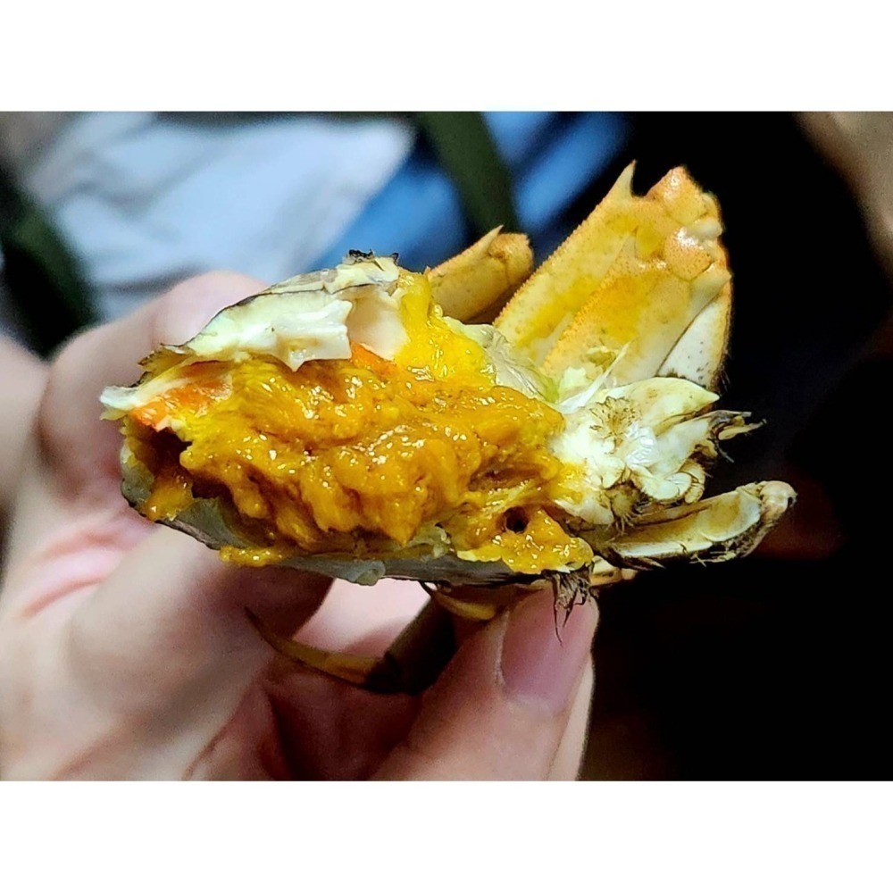 【極海鮮八號鋪】大閘蟹12/05到貨, 大陸江蘇正港貨母蟹, 爆膏爆蛋規格等級,蟹肉厚鮮甜，蟹黃蟹膏濃郁-細節圖5