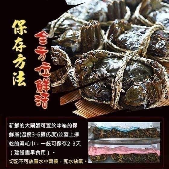 【極海鮮八號鋪】大閘蟹12/05到貨, 大陸江蘇正港貨母蟹, 爆膏爆蛋規格等級,蟹肉厚鮮甜，蟹黃蟹膏濃郁-細節圖7