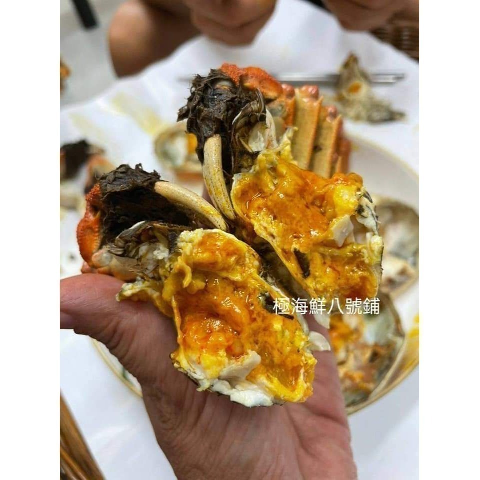 【極海鮮八號鋪】大閘蟹11/1到貨, 大陸江蘇正港貨母蟹, 爆膏爆蛋規格等級,蟹肉厚鮮甜，蟹黃蟹膏濃郁-細節圖2