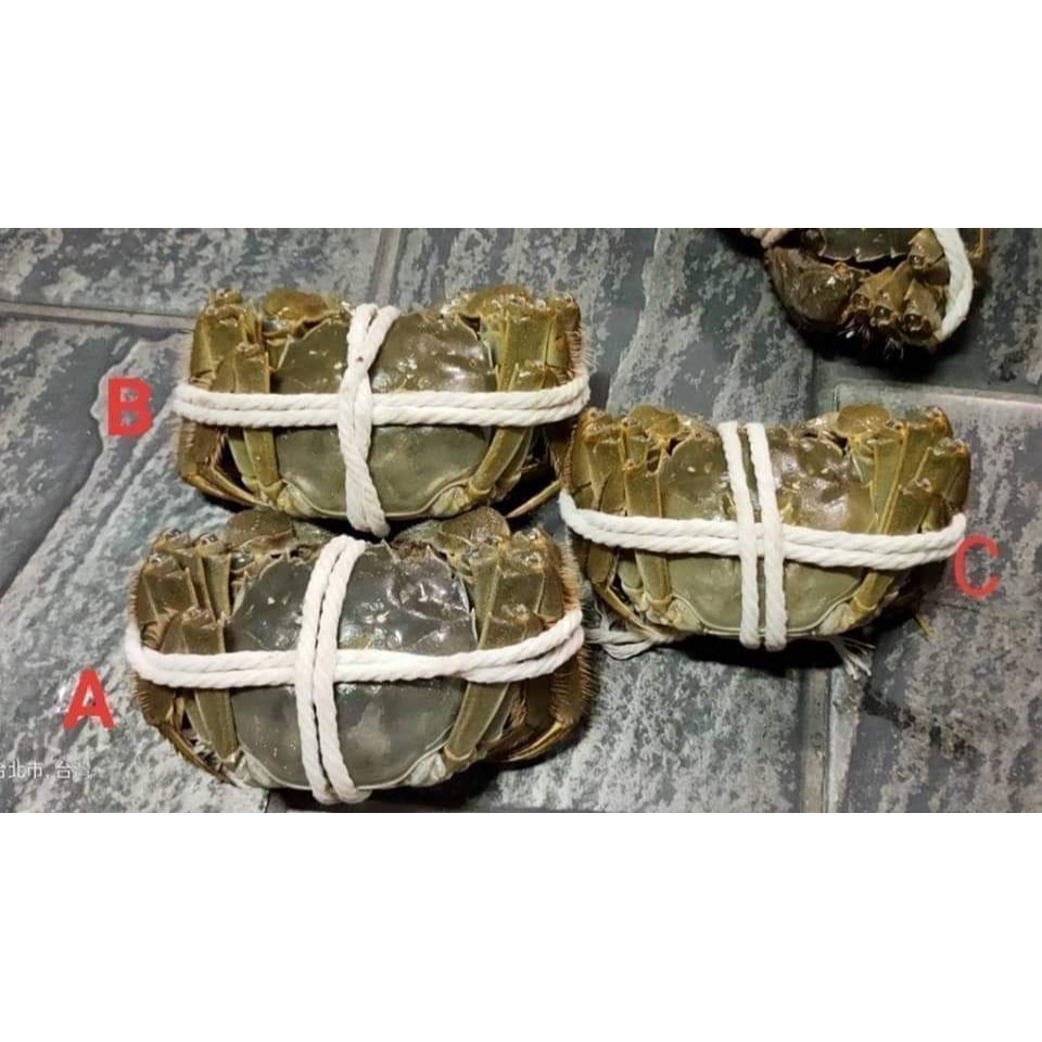 【極海鮮八號鋪】大閘蟹11/1到貨, 大陸江蘇正港貨母蟹, 爆膏爆蛋規格等級,蟹肉厚鮮甜，蟹黃蟹膏濃郁-細節圖8