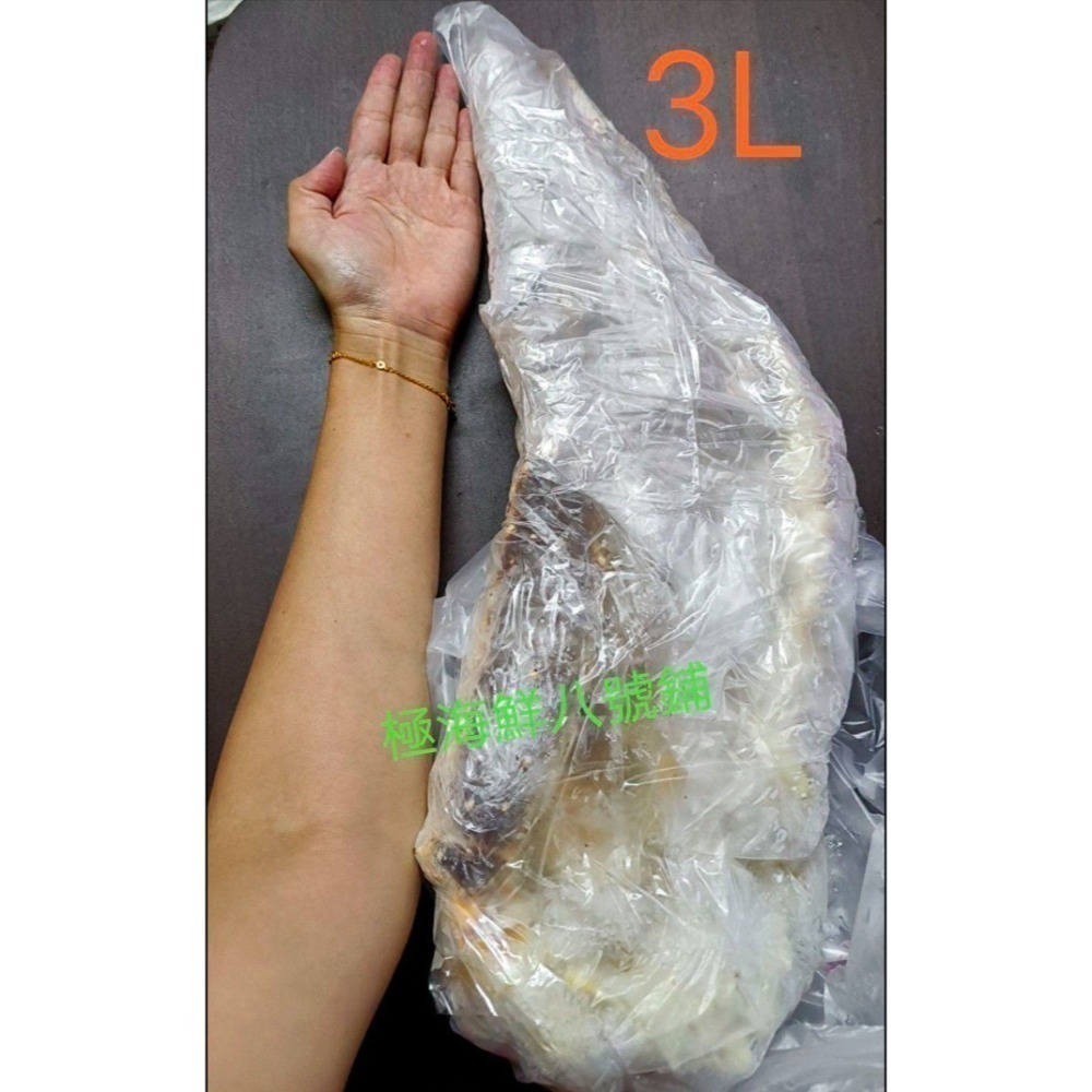 【極海鮮八號鋪】生凍鱈場蟹腳-2L-4L(700-1300g)肉飽滿紮實，簡單清蒸或火鍋享受頂級美好滋味-細節圖4