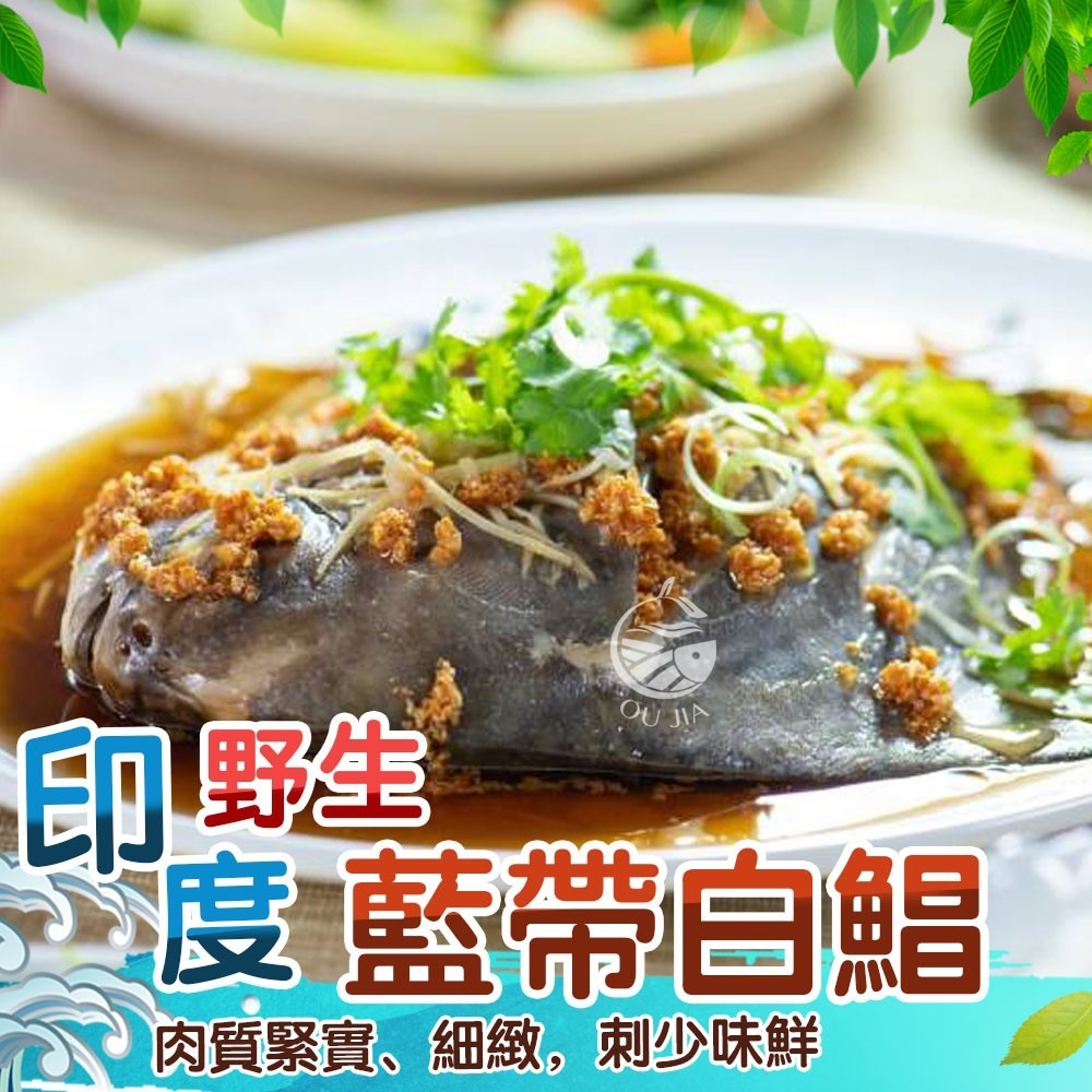 【極海鮮八號鋪】印度正白鯧300/400，400/500，500/600g，農曆年節，就是要有魚！-細節圖2