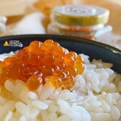【極海鮮八號鋪】日本「醬漬鮭魚卵」顆顆晶瑩剔透，精心醬漬 ，散發出新鮮誘人的光澤、壽司、海鮮丼-細節圖2