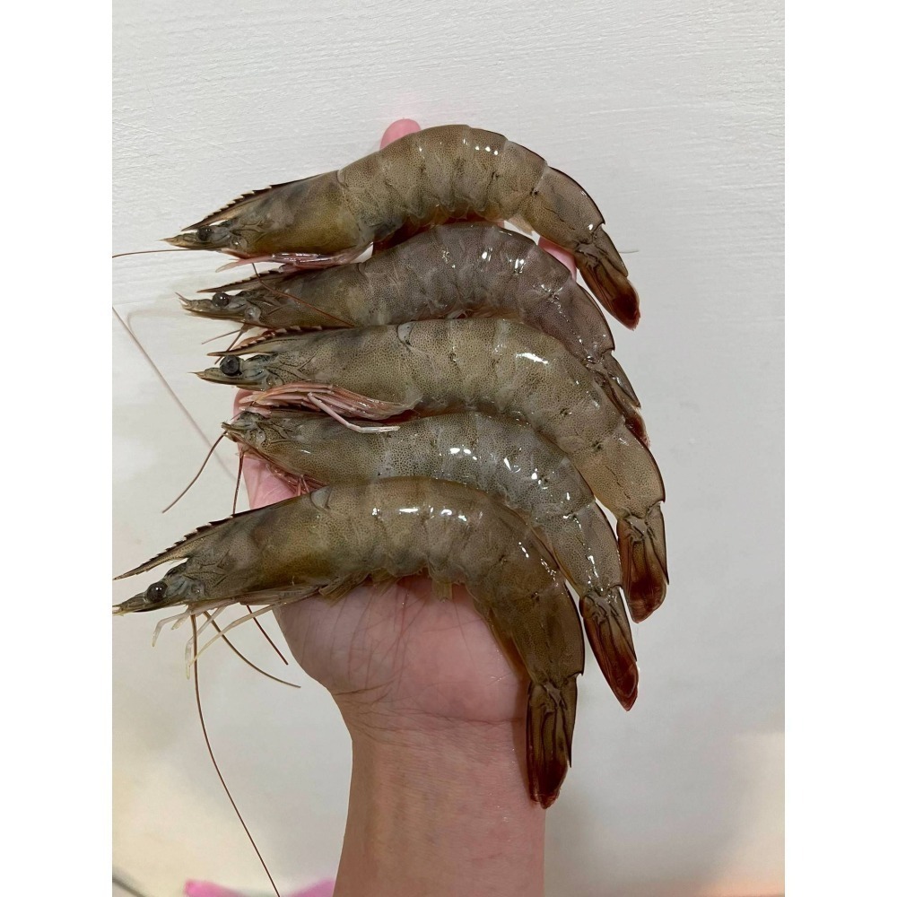 【極海鮮八號鋪】小紅帽30/40厄瓜多白蝦850g／盒/約23-27尾｜ 簡單川燙｜ 美味上桌｜原裝進口｜新鮮急凍-細節圖5