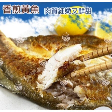 【極海鮮八號鋪】嚴選黃金比例，黃魚一夜干，230~250g±10%／尾，冷凍真空包裝，鮮甜細緻 乾煎即食-細節圖4