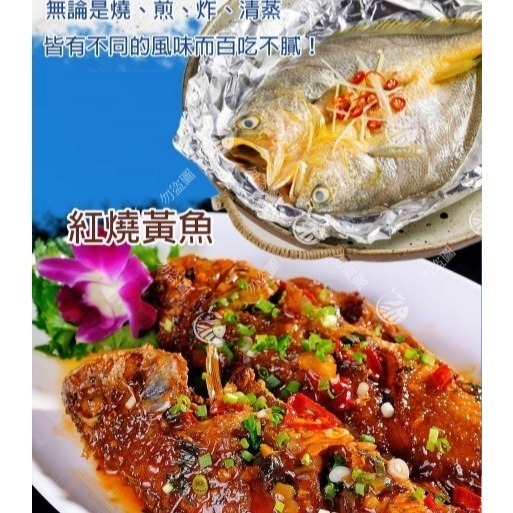 【極海鮮八號鋪】嚴選黃金比例，黃魚一夜干，230~300g±10%／尾，冷凍真空包裝，鮮甜細緻 乾煎即食-細節圖3