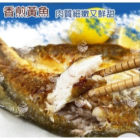 【極海鮮八號鋪】嚴選黃金比例，黃魚一夜干，230~300g±10%／尾，冷凍真空包裝，鮮甜細緻 乾煎即食-細節圖4