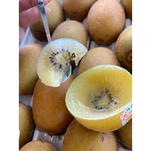 【極海鮮八號鋪】【紐西蘭黃金奇異果】一箱18/22/25顆，富含維他命C，多種入數選擇，鮮甜金果香，黃肉香甜，營養滿滿-細節圖2