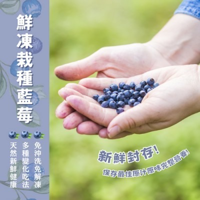 【極海鮮八號鋪】鮮凍藍莓400g/包-退冰即食-含豐富花青素、多酚、維他命和植物纖維，清甜藍莓香-細節圖5