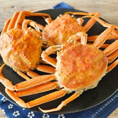 【極海鮮八號鋪】熟凍松葉蟹(母)150g/隻-蟹腳修長飽滿，蟹肉細緻香甜，蟹膏更是迷人回味！-細節圖8