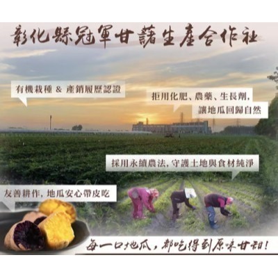 【極海鮮八號鋪】冰烤三色地瓜🍠嚴選台灣在地契作地瓜🍠600g/包-台農57、66、73號完美組合，低溫冰烤鎖住原味-細節圖5