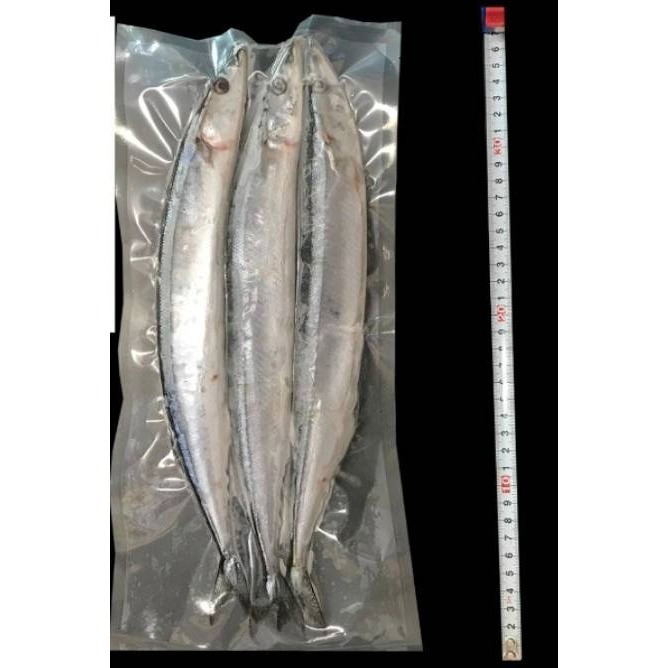 【極海鮮八號鋪】鮮凍肥美秋刀魚1號規格-3入裝，每隻100g±10%，鮮美甘甜，飽滿肉質，細緻肥嫩，香煎、鹽烤香味撲鼻-細節圖2
