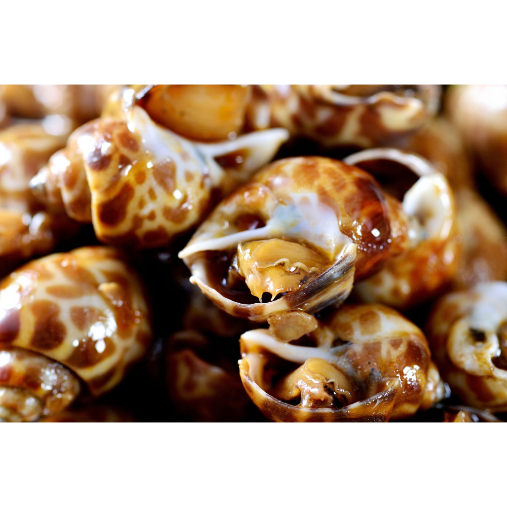 【極海鮮八號鋪】🔥川味鳳螺，居酒屋等級的經典下酒菜🔥，300g/包，Q彈帶勁、鮮甜無腥味-細節圖3