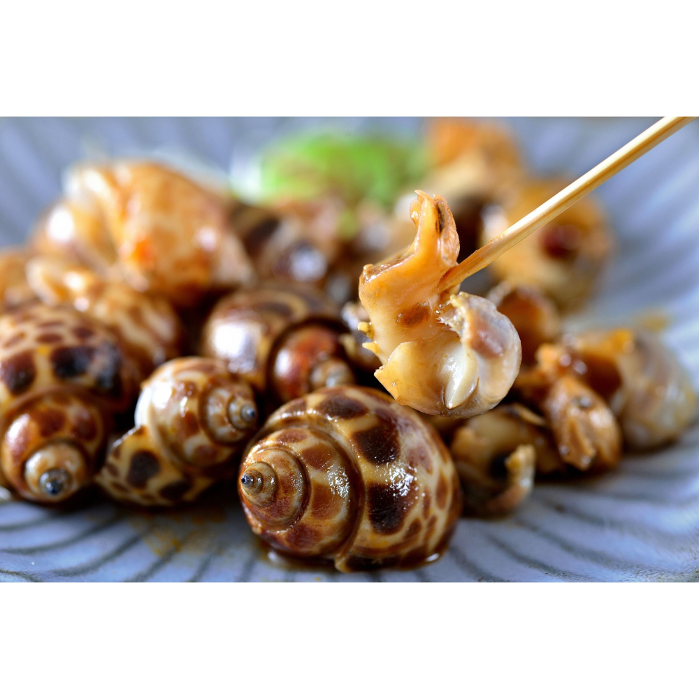 【極海鮮八號鋪】🔥川味鳳螺，居酒屋等級的經典下酒菜🔥，300g/包，Q彈帶勁、鮮甜無腥味-細節圖5