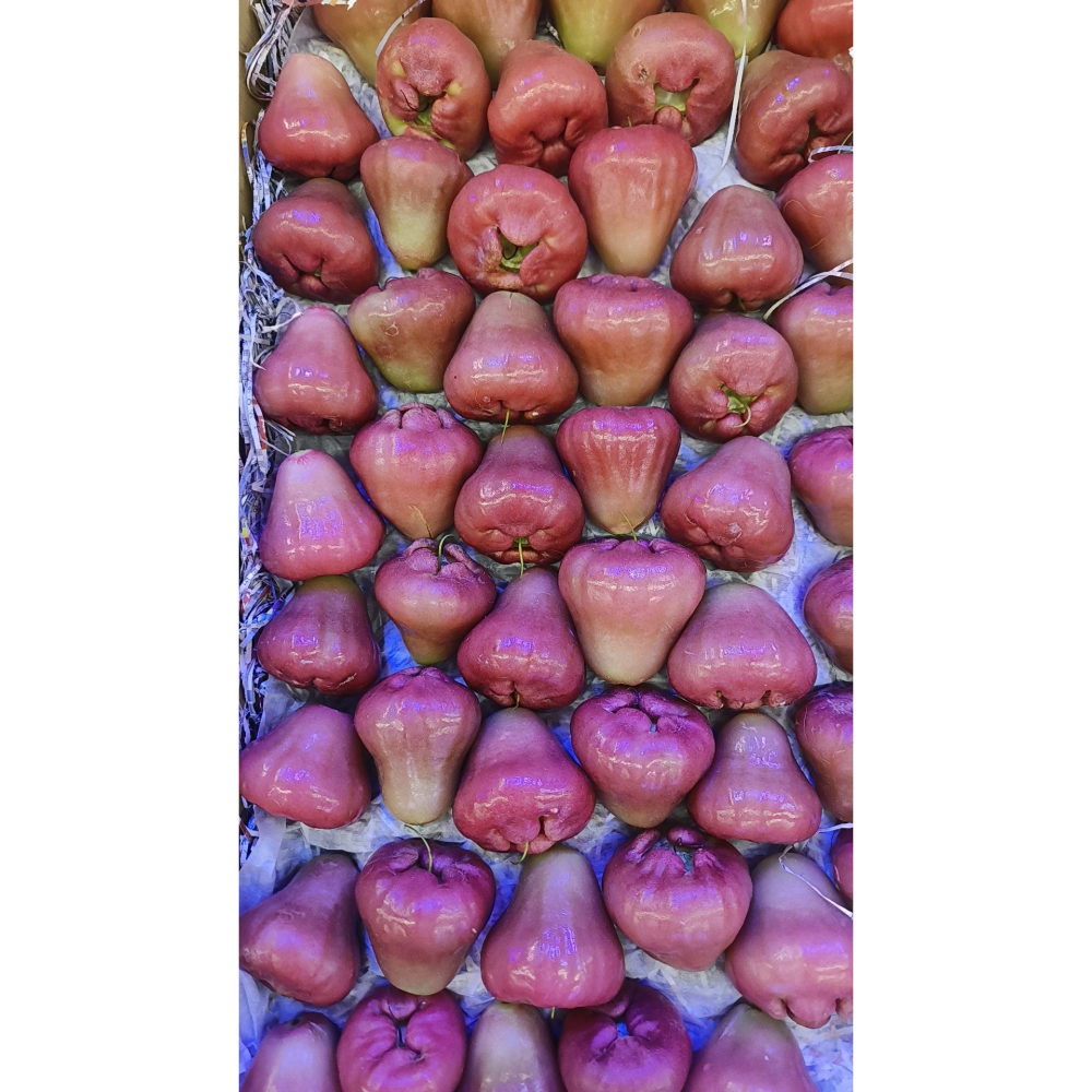 【極海鮮】屏東鹽水黑珍珠蓮霧✨蓮霧果實雖小✨香甜脆口多汁、籽少又細緻❤️-細節圖2