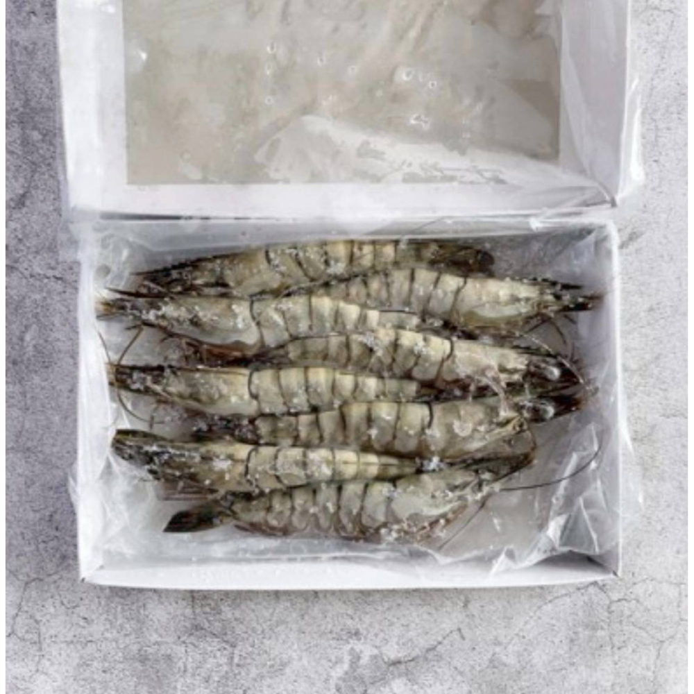 【極海鮮八號鋪】黑鑽大虎蝦8P(盒裝)300g👍純淨海水養殖、體型碩大、彈牙多汁、急凍鮮甜-細節圖7
