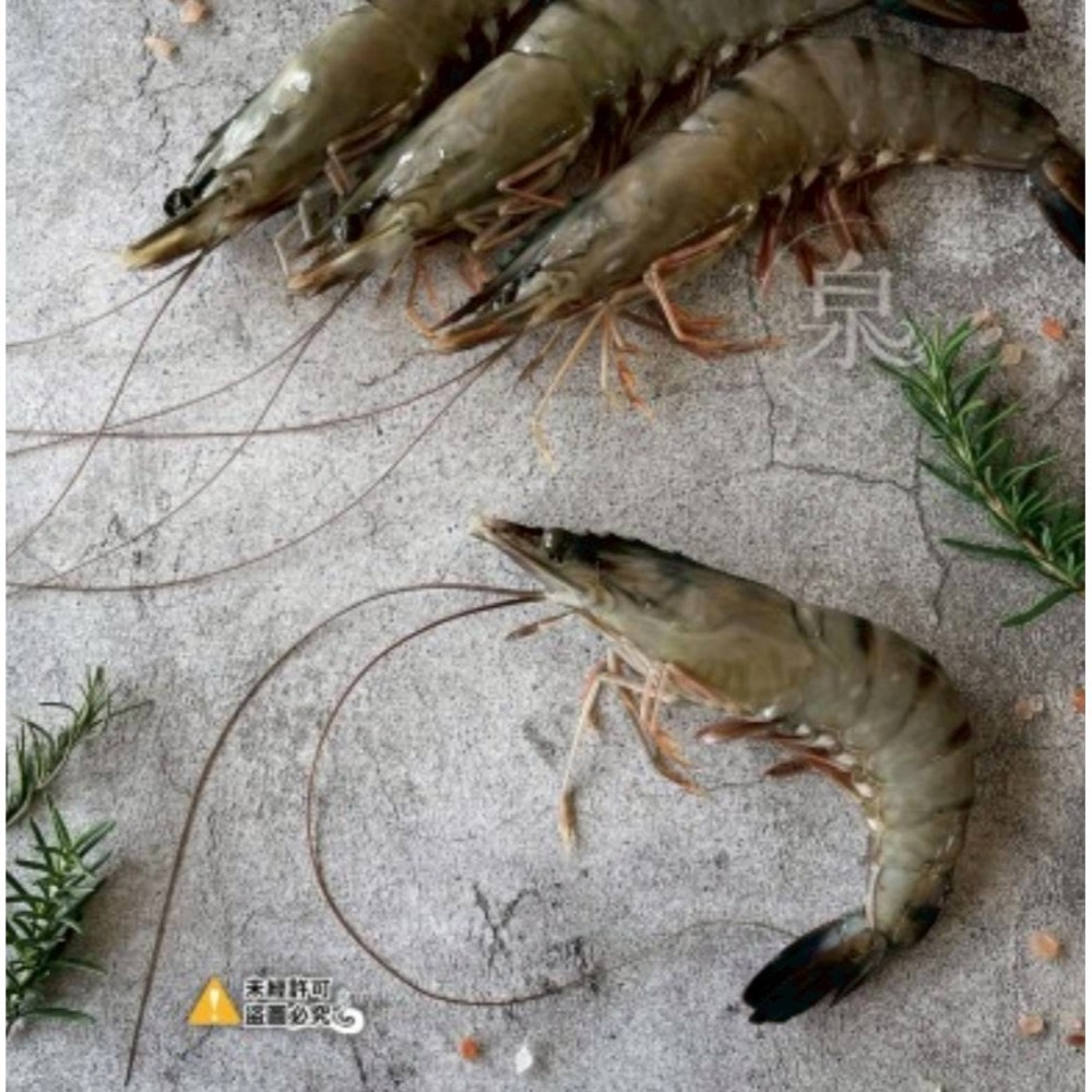 【極海鮮八號鋪】黑鑽大虎蝦8P(盒裝)300g👍純淨海水養殖、體型碩大、彈牙多汁、急凍鮮甜-細節圖6