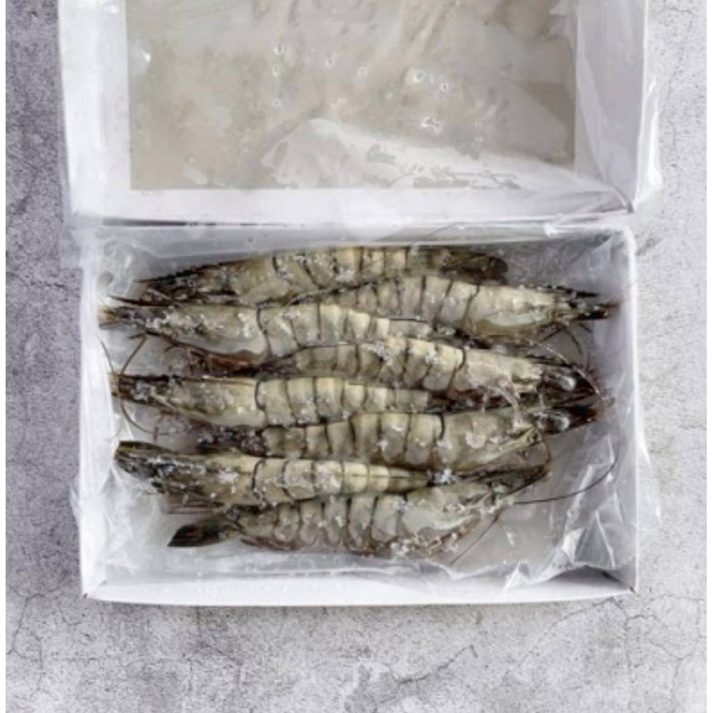 【極海鮮八號鋪】黑鑽大虎蝦8P(盒裝)300g👍純淨海水養殖、體型碩大、彈牙多汁、急凍鮮甜-細節圖7