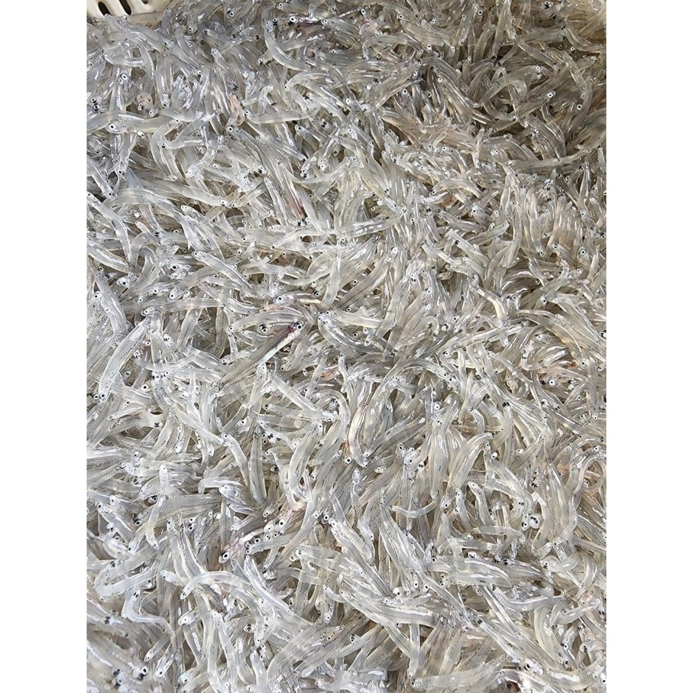 【極海鮮八號鋪】🐟 【極海鮮八號舖】嚴選熟凍吻仔魚，產地直送・鮮甜入魂-細節圖9