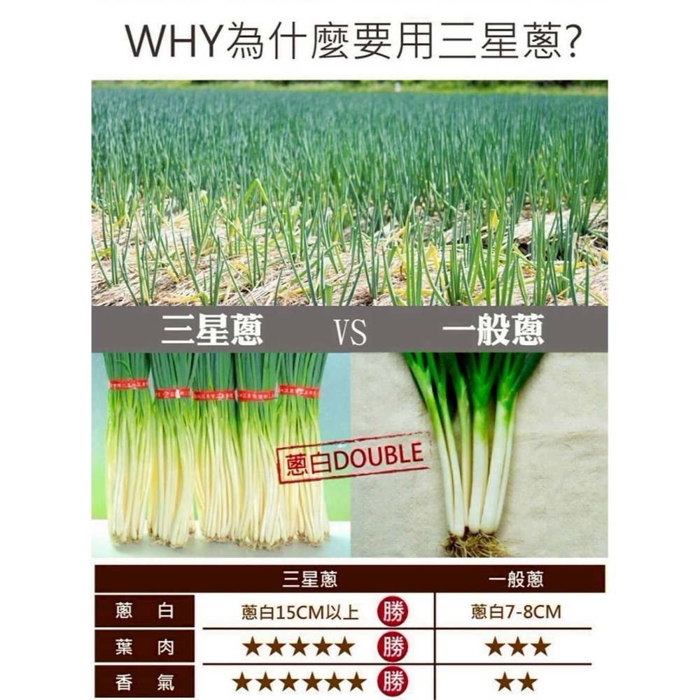 【極海鮮八號鋪】蔥阿伯 三星鄉蔥油餅(90g X 5片)🔥100%正宗台灣三星蔥餡🔹100%手工製作🔹獨家秘方-細節圖4