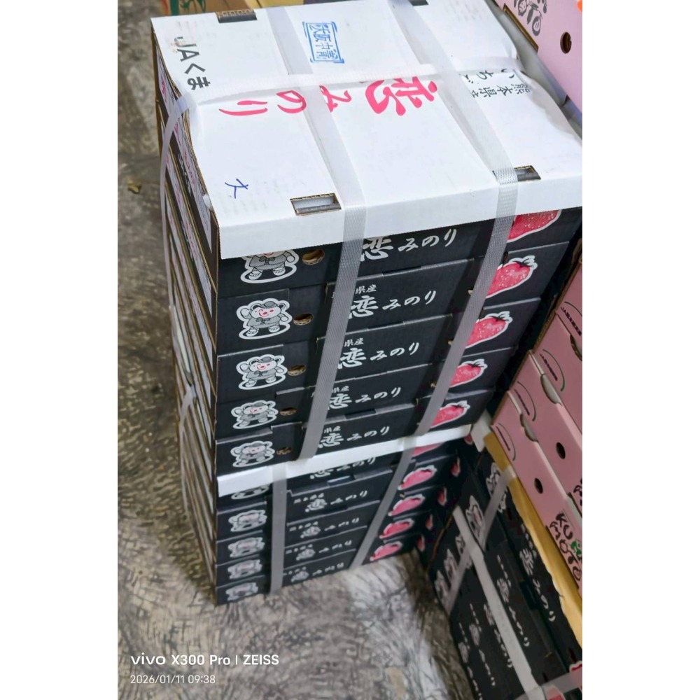 【極海鮮八號鋪】🍓✨【日本熊本草莓・甜美上市】✨🍓果形飽滿、色澤鮮紅、香氣濃郁聞名，酸甜比例恰到好處-細節圖3