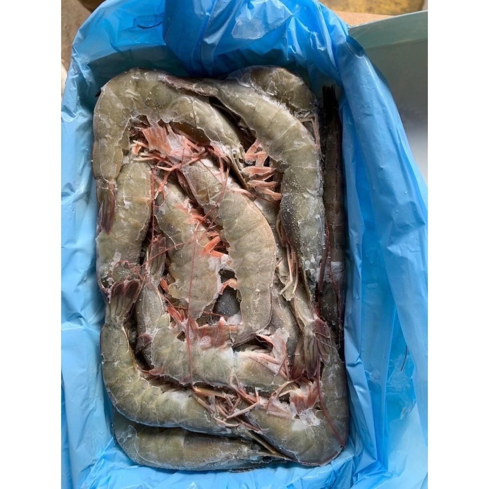 【極海鮮八號鋪】巴拿馬30/40艾迪白蝦（約18-24尾）✅絕無黑頭/黑腳 ✅肉質結實鮮甜，不黏殼-細節圖2