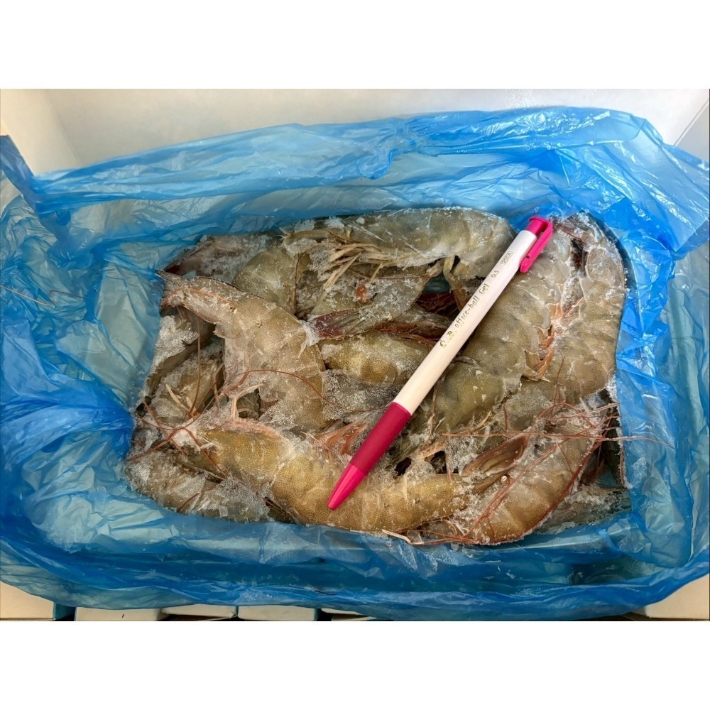 【極海鮮八號鋪】巴拿馬30/40艾迪白蝦（約18-24尾）✅絕無黑頭/黑腳 ✅肉質結實鮮甜，不黏殼-細節圖3