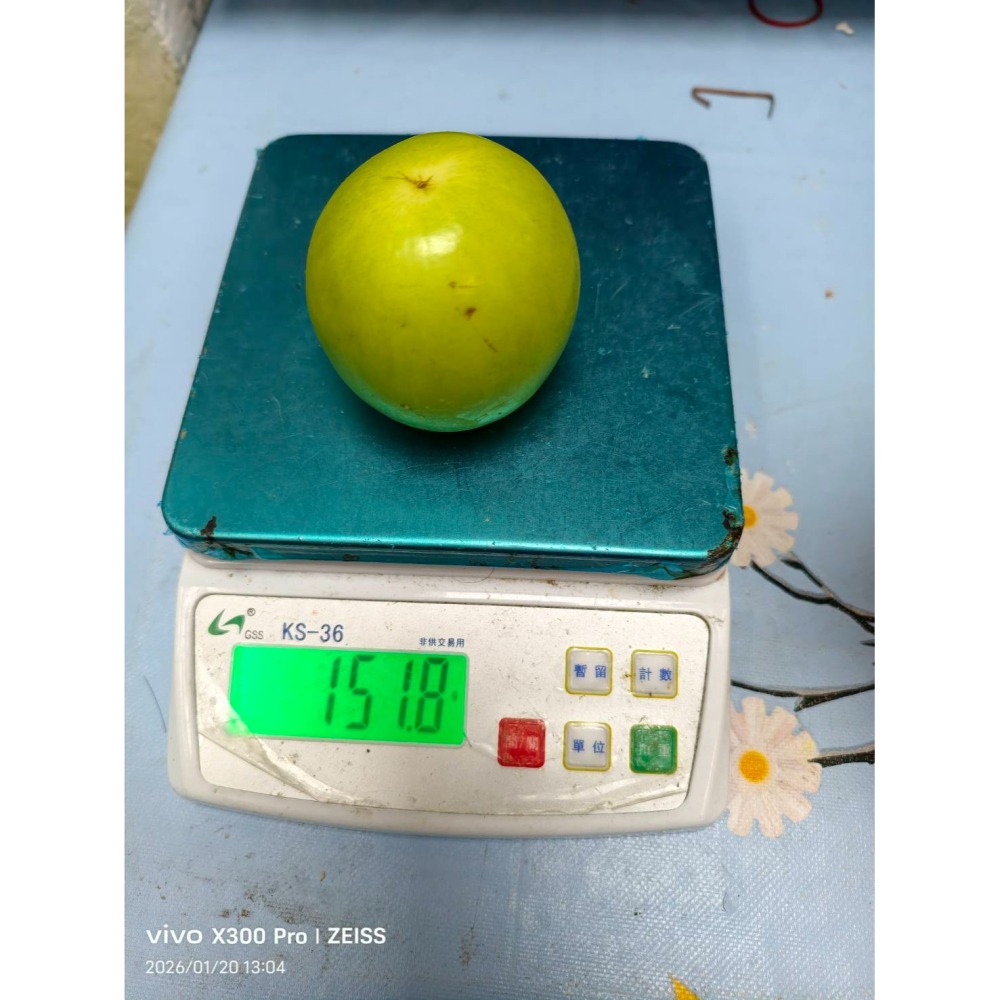 【極海鮮八號鋪】屏東高樹 11號珍蜜「爆漿」蜜棗 (10斤禮盒)。皮薄肉嫩、極致清甜，如水梨般的清脆多汁，極致味蕾饗宴-細節圖8