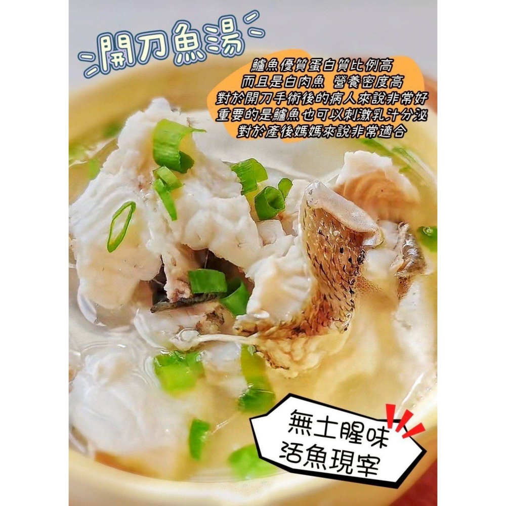 【極海鮮八號鋪】海水金目鱸魚排，肉質Q彈沒土味，去刺去鱗好方便，150-200g/片-細節圖5