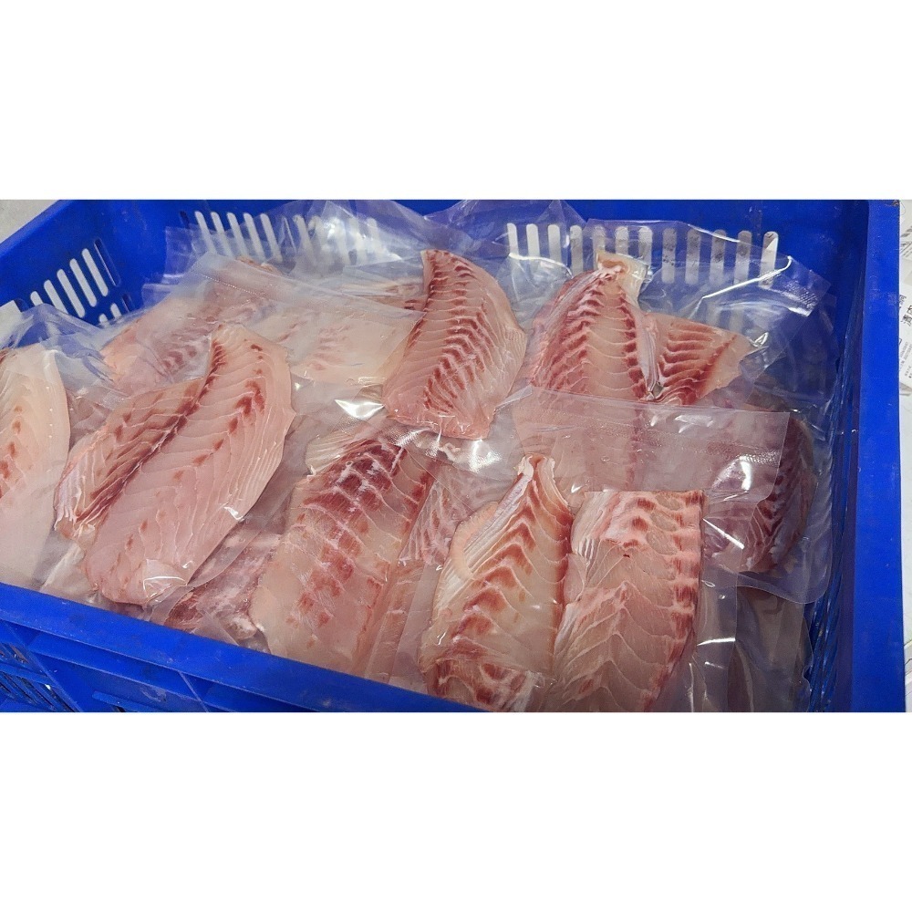 【極海鮮八號鋪】鋸齒鯛300g｜季節限定㊙️厚實口感派👉無刺海魚排 簡單料理，就很好吃-細節圖4