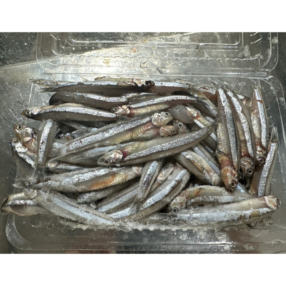 【極海鮮八號鋪】鮮凍鱙仔魚💦解凍後稍做清洗即可料理🤤是酥炸♨️、煮粥🥣或是小編私心推薦的煎蛋🍳，都能吃出層次-細節圖5