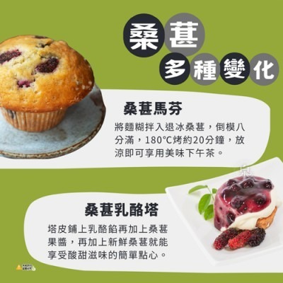 【極海鮮八號鋪】鮮凍桑葚，微退冰即食，營養滿滿，一包搞定，花青素豐富，冷凍鎖鮮，安心享用-細節圖4