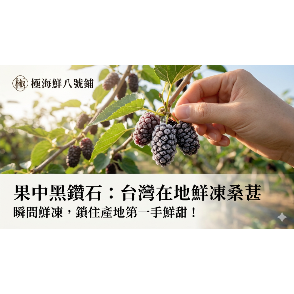 【極海鮮八號鋪】鮮凍桑葚，微退冰即食，營養滿滿，一包搞定，花青素豐富，冷凍鎖鮮，安心享用-細節圖6