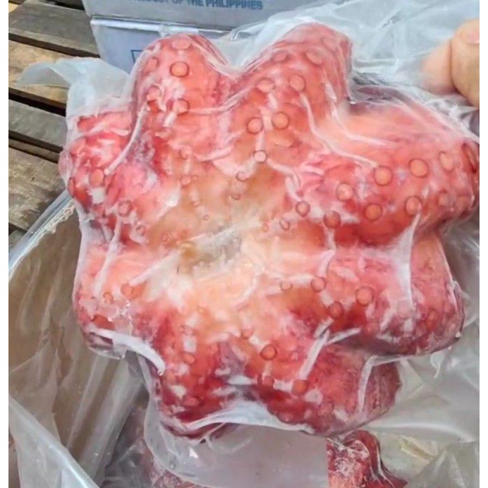 【極海鮮八號鋪】熟凍肥美大章魚_1-1.6公斤/隻，😝保留鮮美口感，入口滑嫩Q彈，只需川燙後配醬料涼拌就可享用新鮮海味-細節圖2