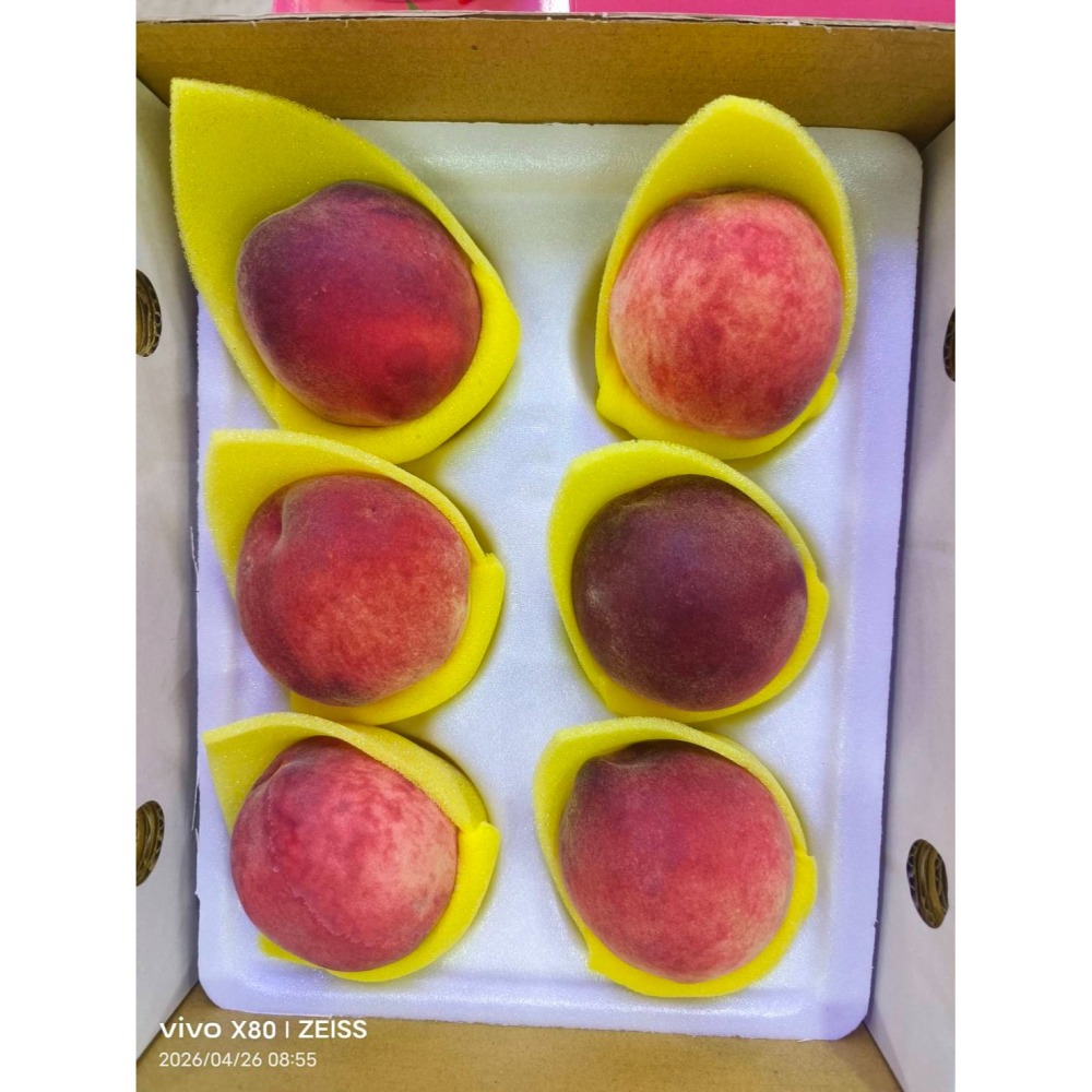 【極海鮮】 台灣紅鈴水蜜桃禮🍑1010g ±10%/ 盒🍑一口咬下夏天的甜香、嫩、汁感豐富，而且尾韻清爽，滿滿桃香-細節圖3