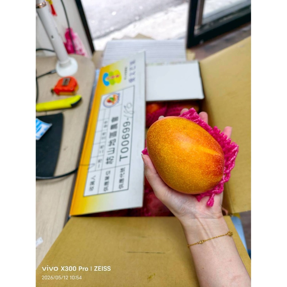 【極海鮮八號鋪】屏東坊山愛文芒果18入(太陽果) 10斤/葙 ，外皮紅潤漂亮，果肉細緻幾乎沒有纖維，香氣濃郁又甜而不膩-細節圖2