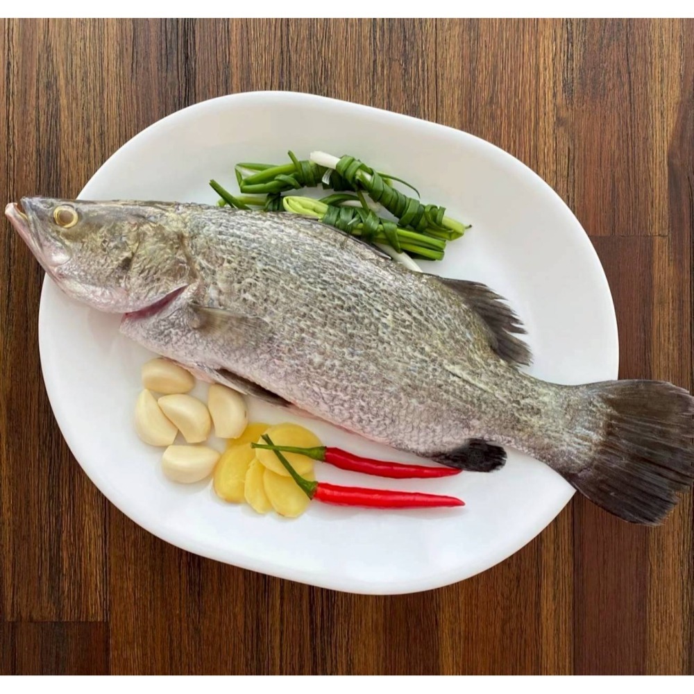 【極海鮮八號鋪】現流三去金目鱸魚300~400g/包🐟整尾🐟沒有土味、沒有腥味👉去魚鱗、去內臟、去肚-細節圖5