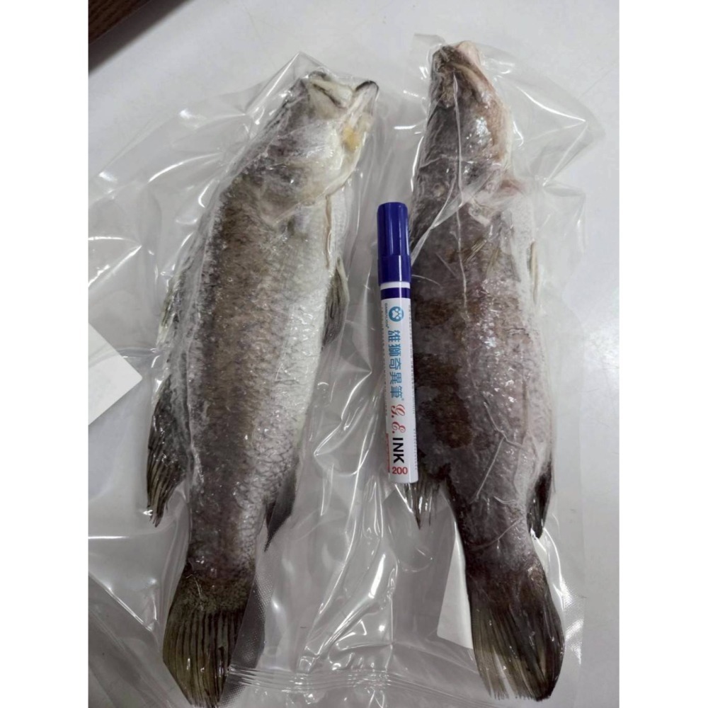 【極海鮮八號鋪】現流三去金目鱸魚300~400g/包🐟整尾🐟沒有土味、沒有腥味👉去魚鱗、去內臟、去肚-細節圖7