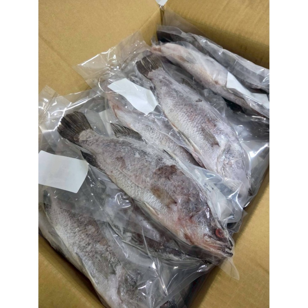 【極海鮮八號鋪】現流三去金目鱸魚300~400g/包🐟整尾🐟沒有土味、沒有腥味👉去魚鱗、去內臟、去肚-細節圖8