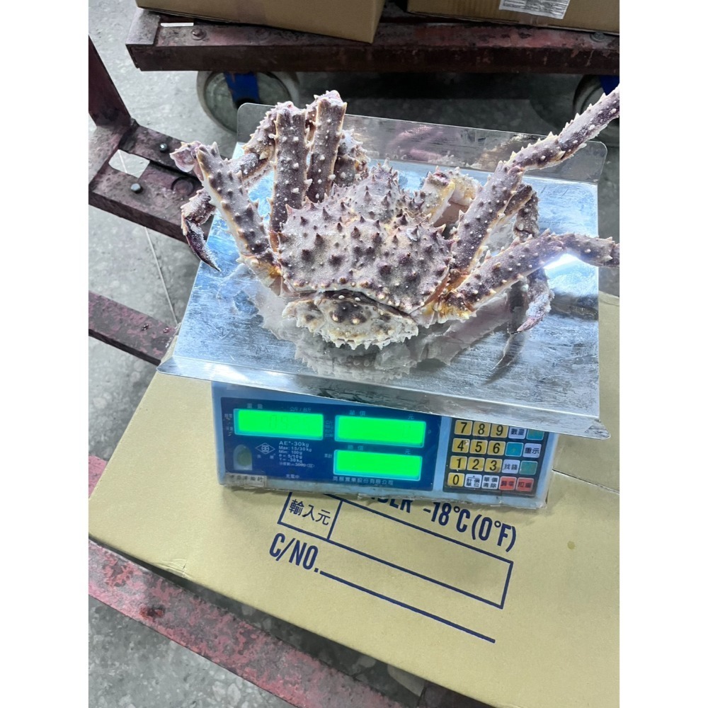 🦀【活凍日本北海道鱈場蟹-帝王蟹】🇯🇵 900-1200g/ 隻，送禮，自用，慶祝聚餐，都很合適😍-細節圖5