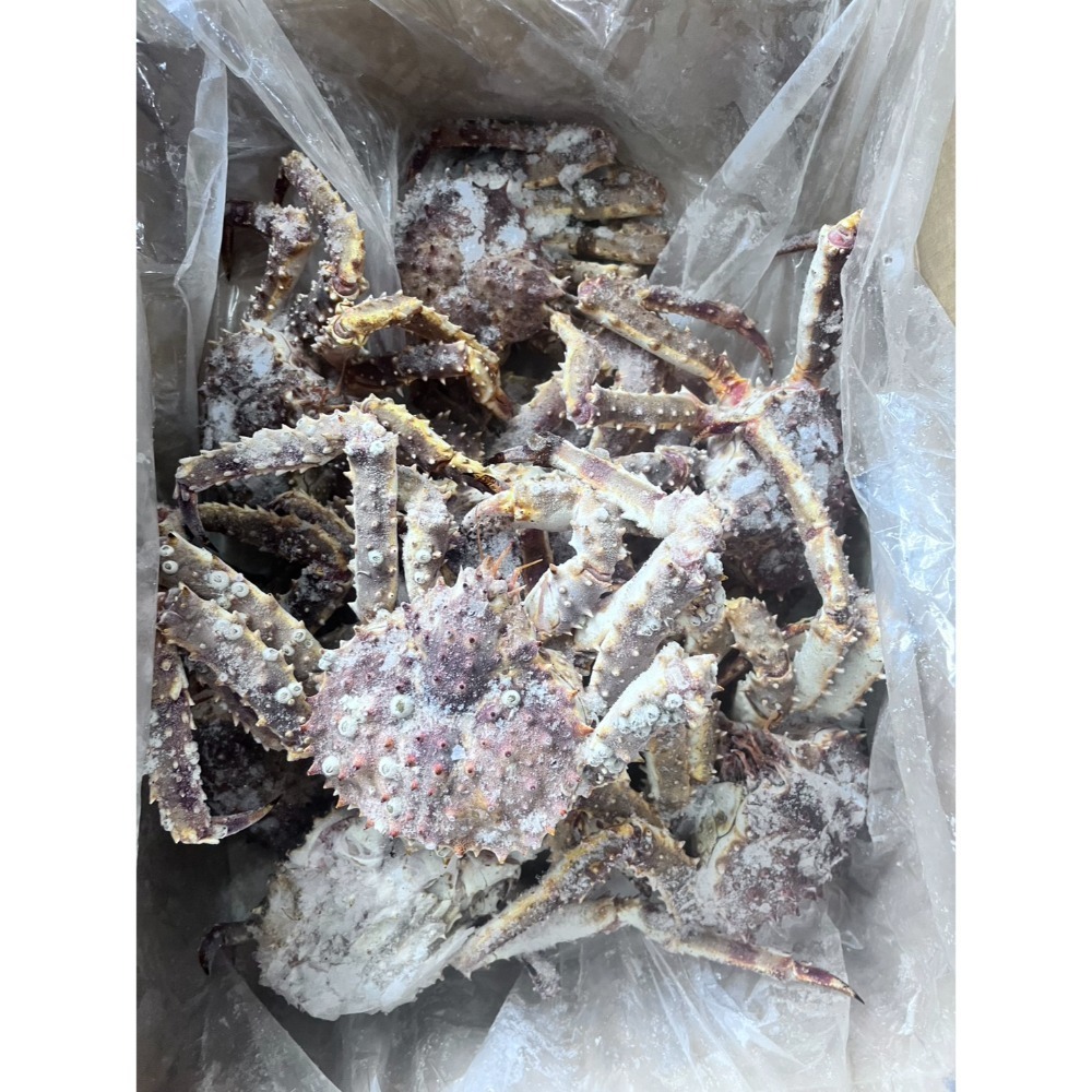 🦀【活凍日本北海道鱈場蟹-帝王蟹】🇯🇵 900-1200g/ 隻，送禮，自用，慶祝聚餐，都很合適😍-細節圖6
