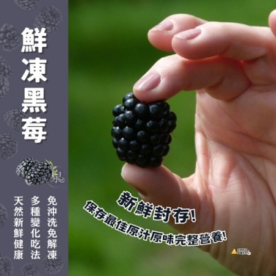 鮮凍黑莓350g｜智利安地斯山麓嚴選，IQF急凍，顆顆分明，無糖無添加，天然純粹，萬用冷凍常備【極海鮮八號鋪】-細節圖3
